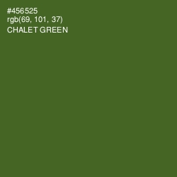 #456525 - Chalet Green Color Image